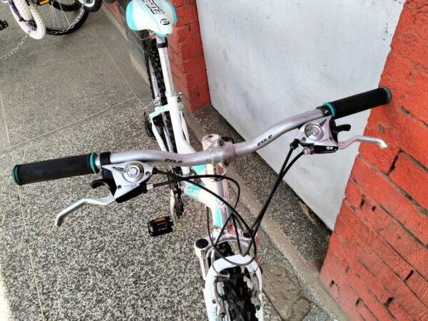 Butler Size 26 Mountain Bike - Baiskeli Centre