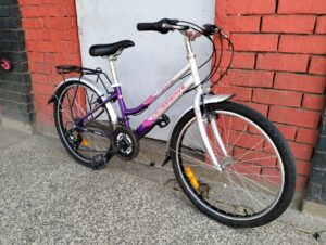 Crosswave Size 24 Mountain Bike - Baiskeli Centre