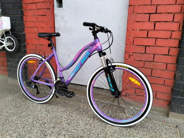 Planet Mountain Bike 26'' Daisy - Baiskeli Centre