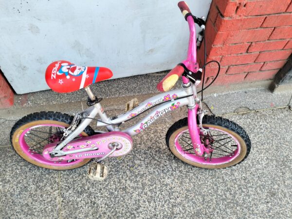 Raleigh Size 16 Bike [4-7yrs] - Baiskeli Centre