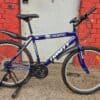 Blue Trinity mountain bike with 26-inch wheels and front suspension.