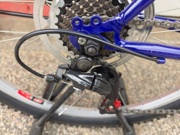Close-up of mountain bike gear system and chain for optimal performance.